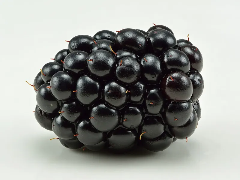 Blackberry